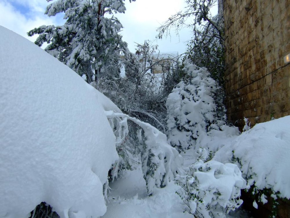 DSCF9260.jpg
