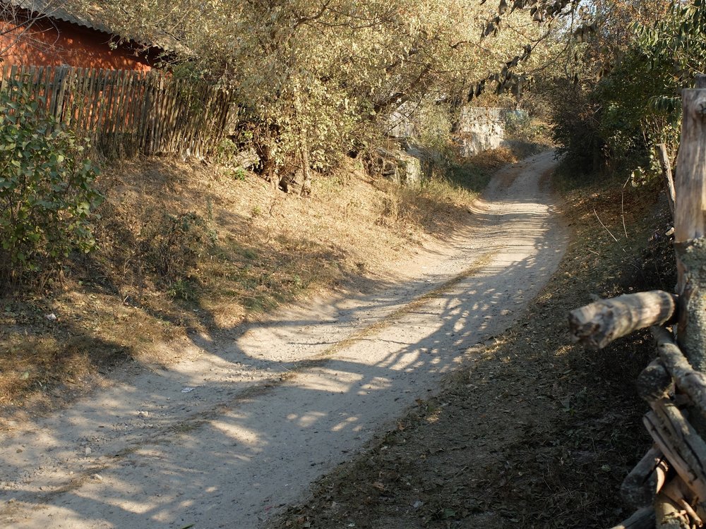 DSCF9294.jpg