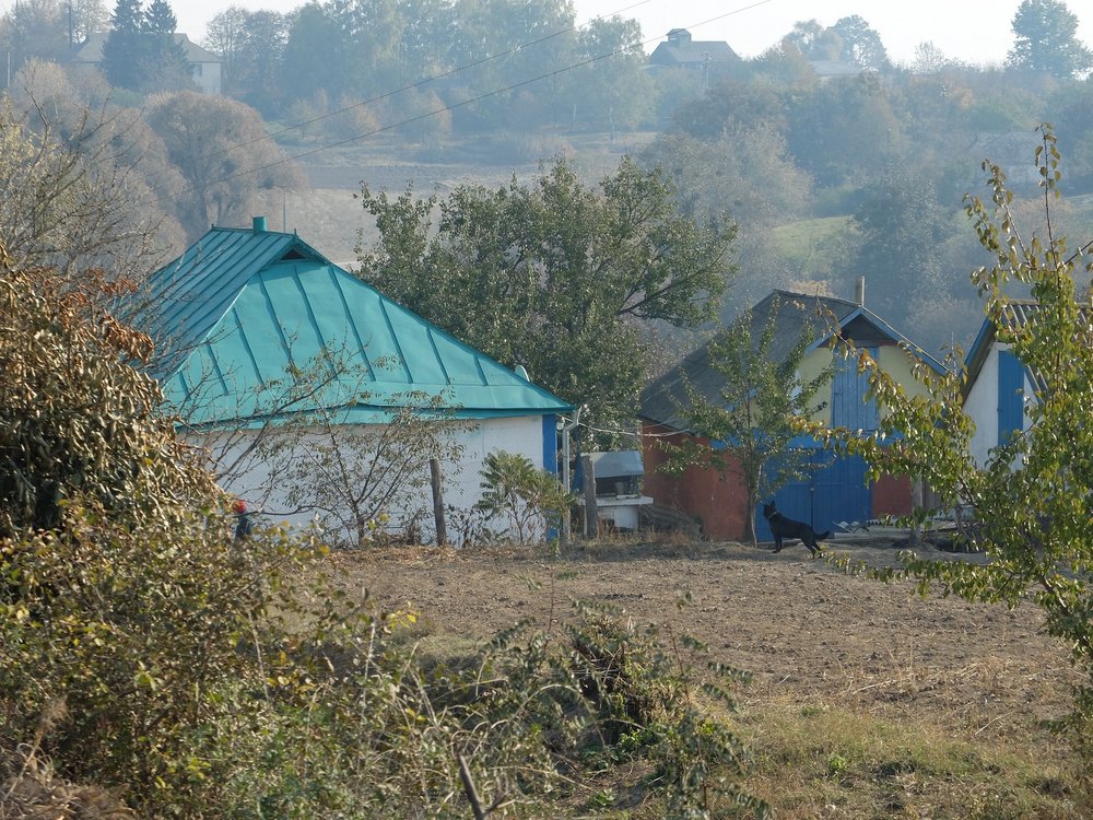DSCF9335.jpg
