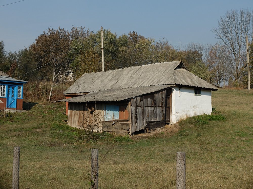 DSCF9339.JPG