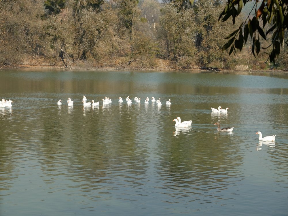 DSCF9344.JPG