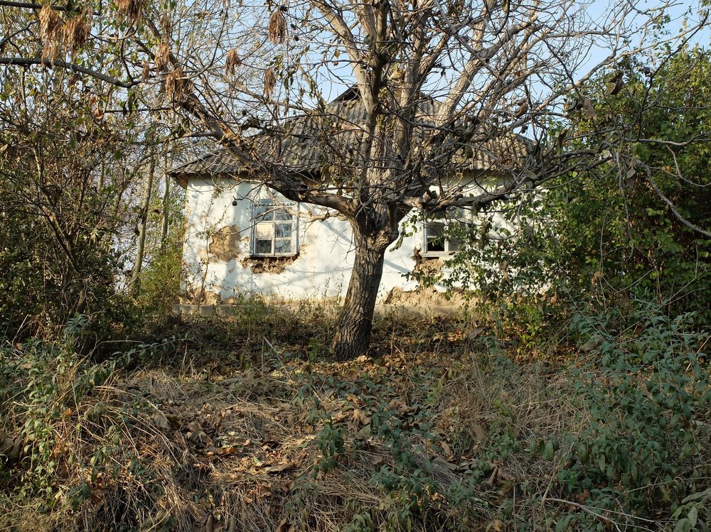 DSCF9398.jpg