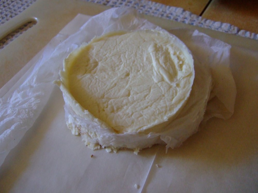 DSCF9479.jpg