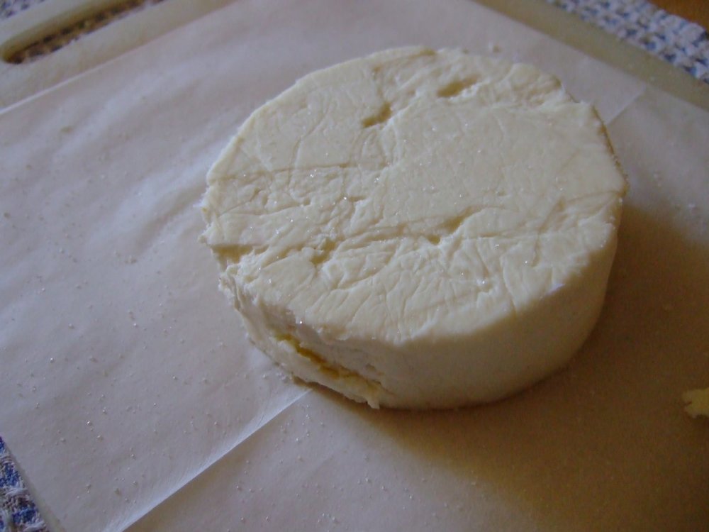 DSCF9480.jpg