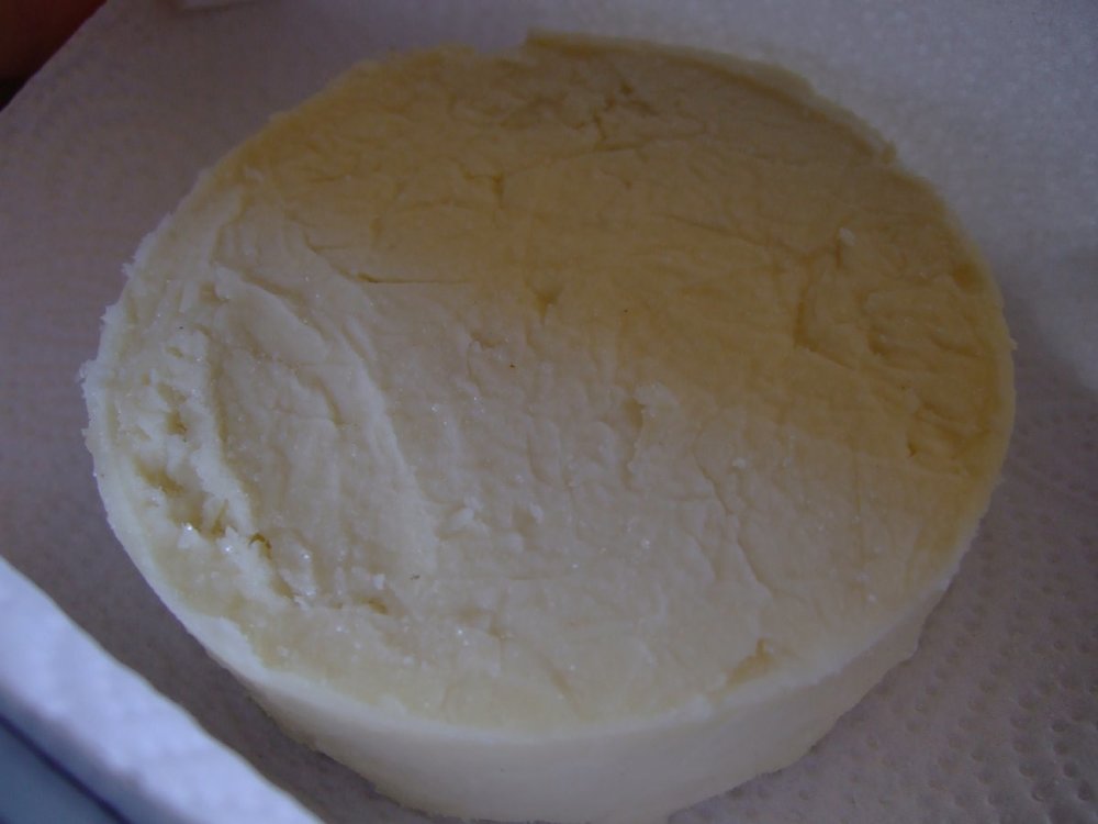 DSCF9481.jpg