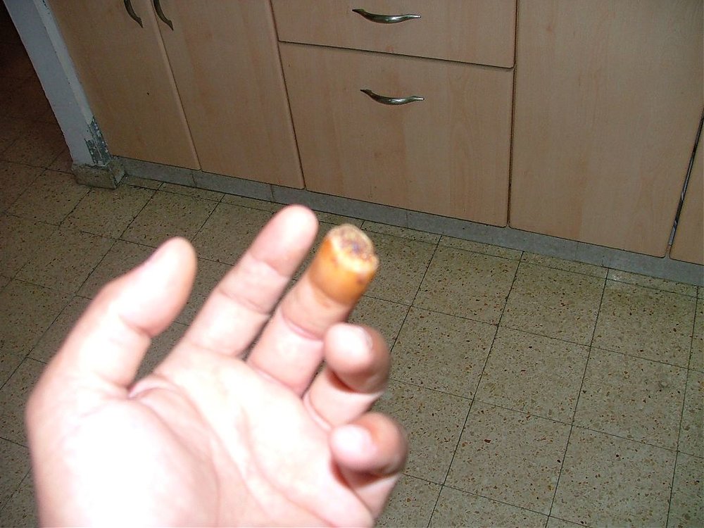 DSCF9777.jpg