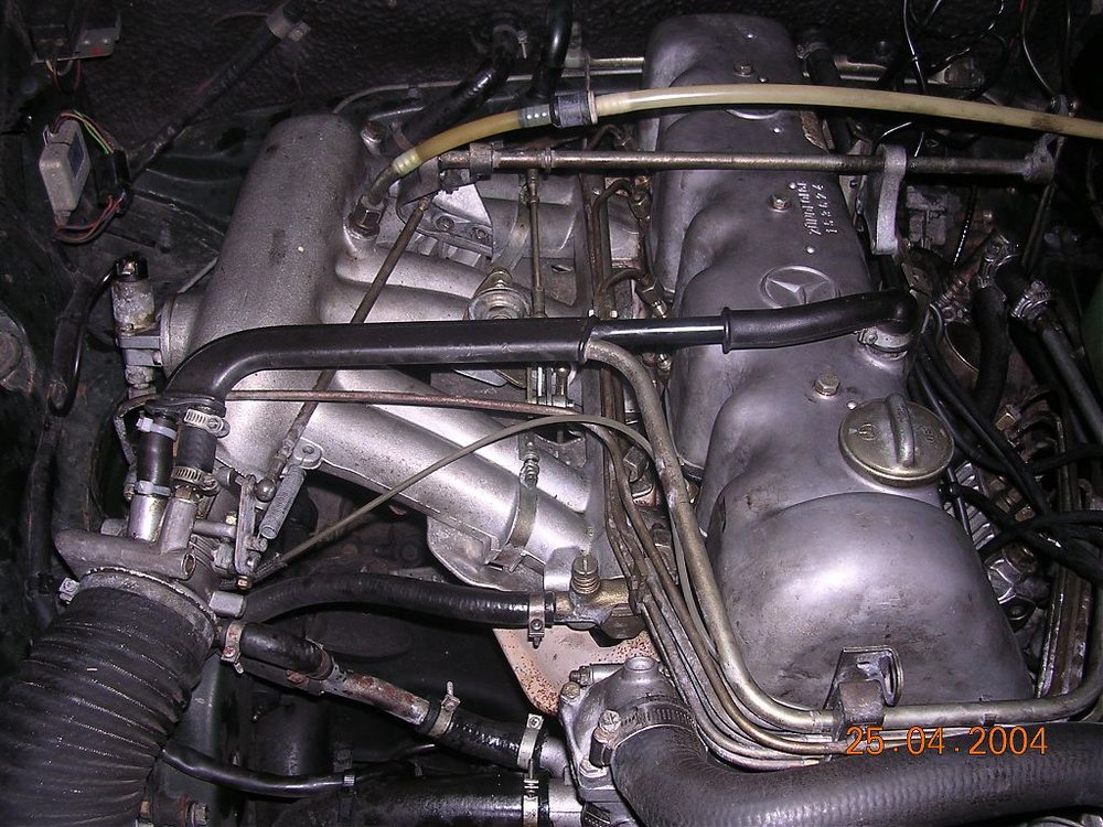 DSCN0298.jpg