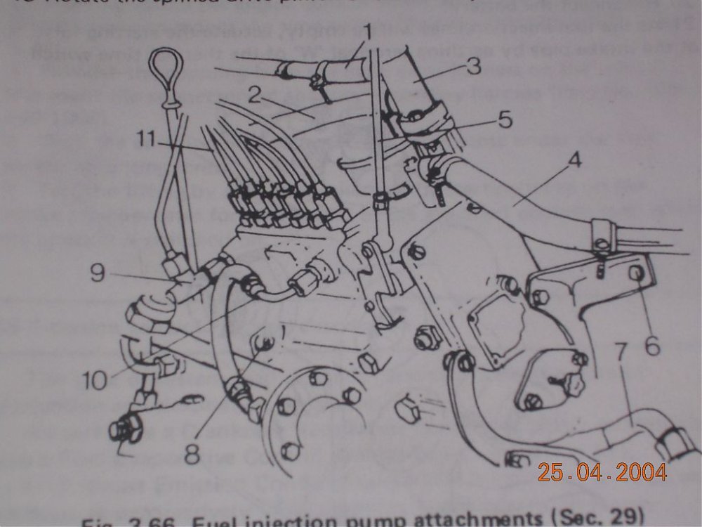 DSCN0310.jpg