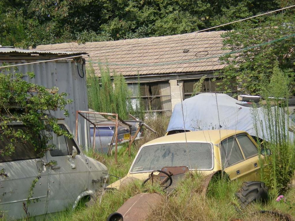 DSCN0723.JPG