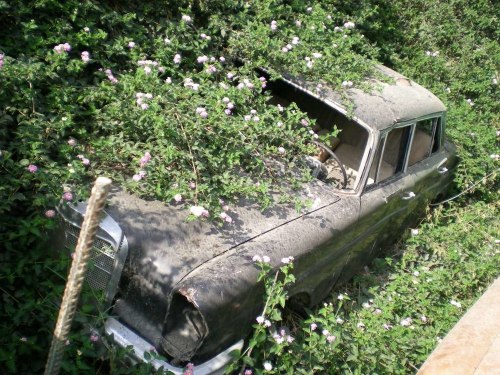 DSCN0724.JPG