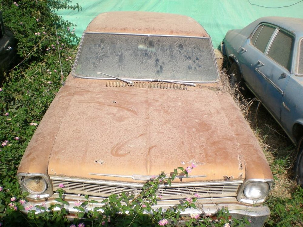 DSCN0725.JPG