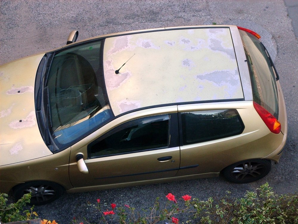 DSCN0918.jpg