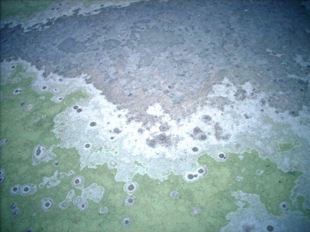 DSCN0923.jpg