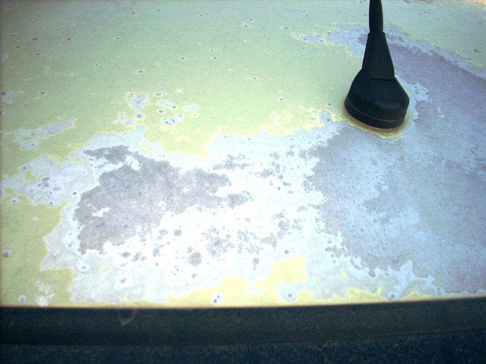 DSCN0930.jpg