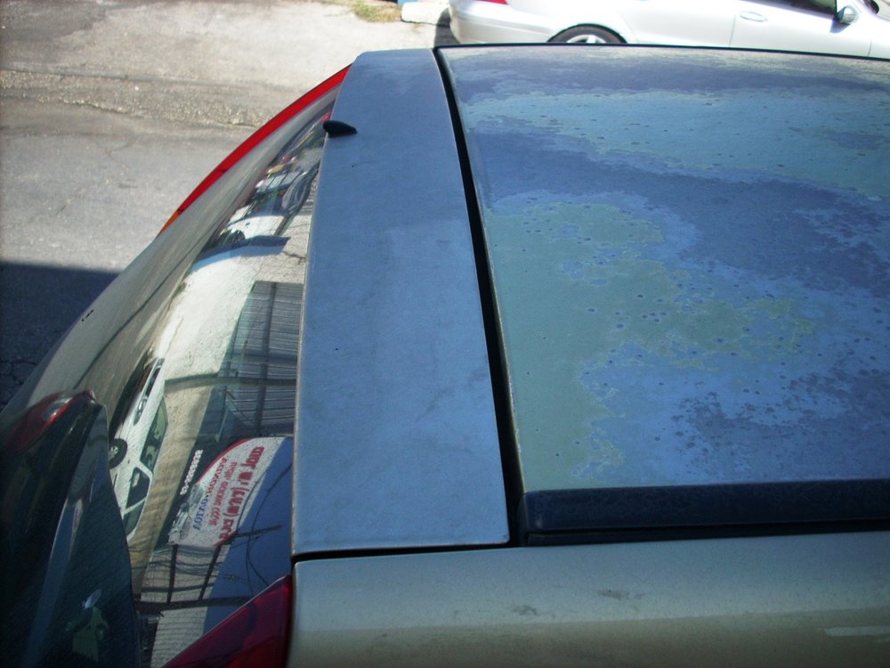 DSCN0931.jpg