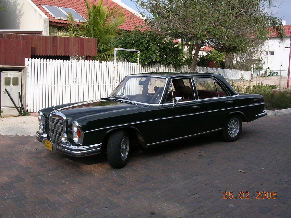 DSCN1004.jpg