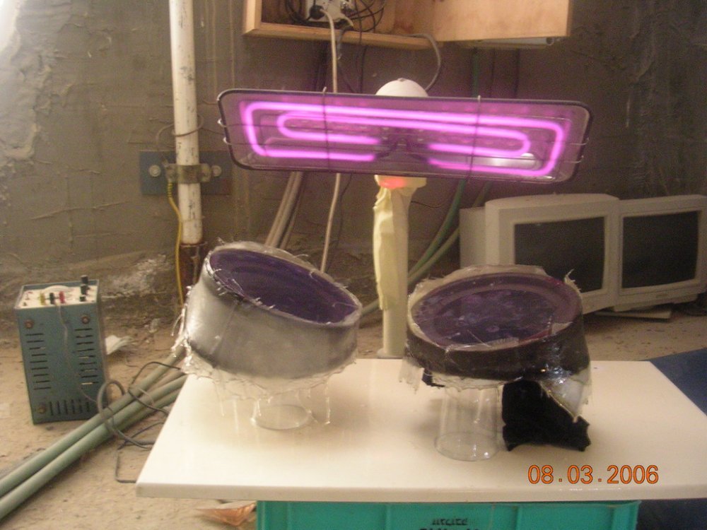 DSCN1574.JPG