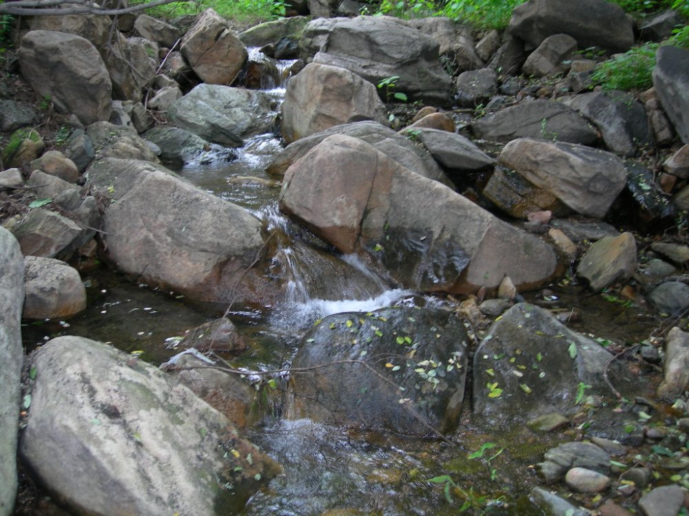 DSCN2184.JPG
