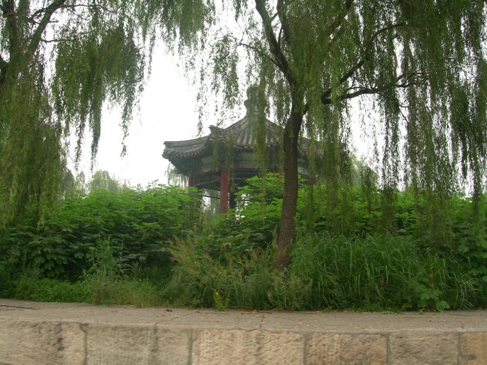 DSCN2281.JPG