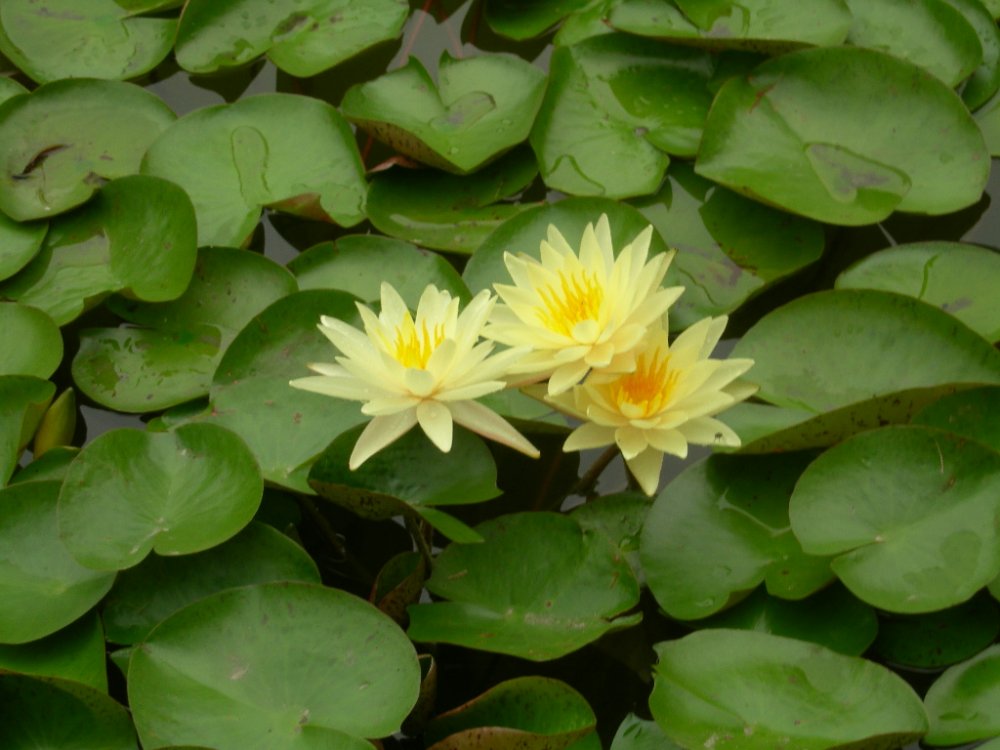 DSCN2403.JPG