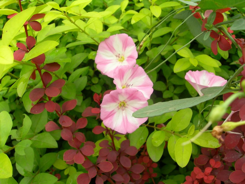 DSCN2417.JPG