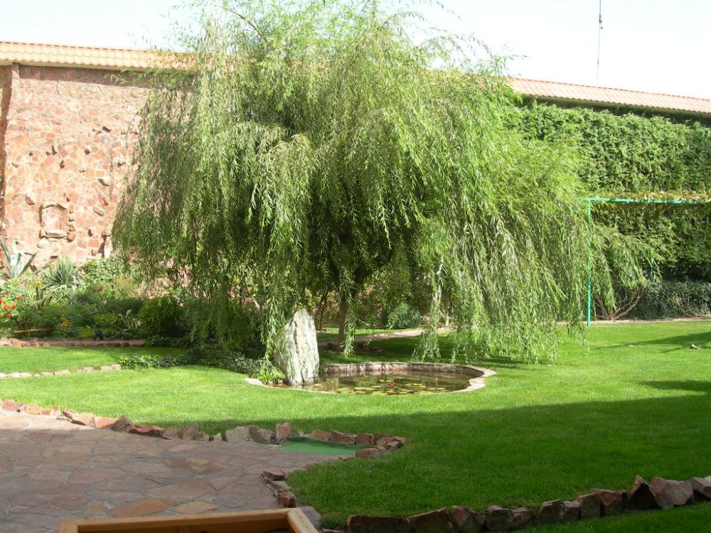 DSCN2496.JPG