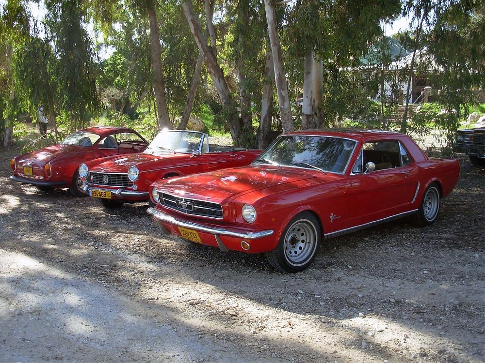 DSCN2555.jpg