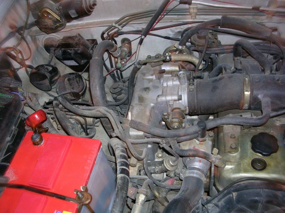 DSCN3557.JPG