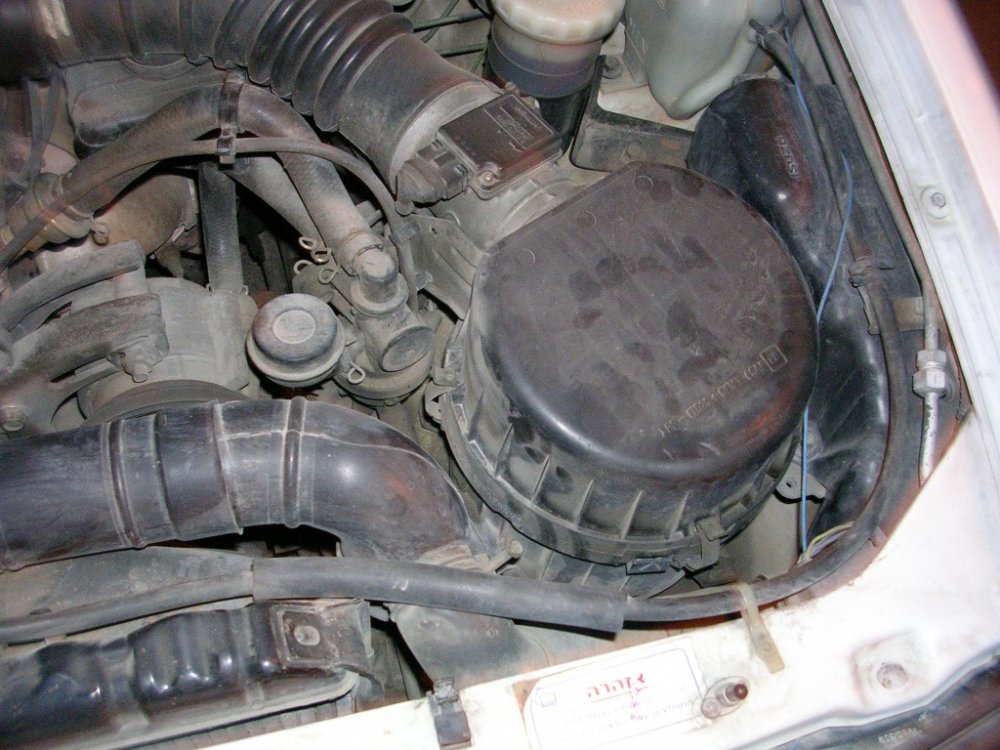 DSCN3558.JPG
