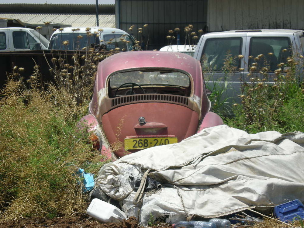 DSCN3691.JPG