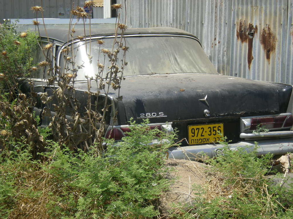 DSCN3693.JPG