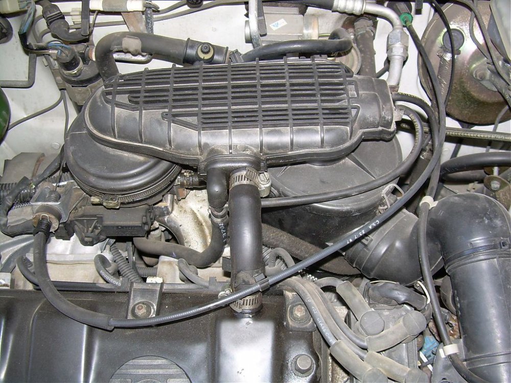DSCN3821.jpg