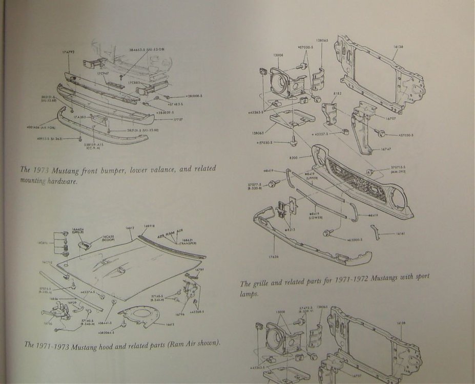 DSCN5093.jpg