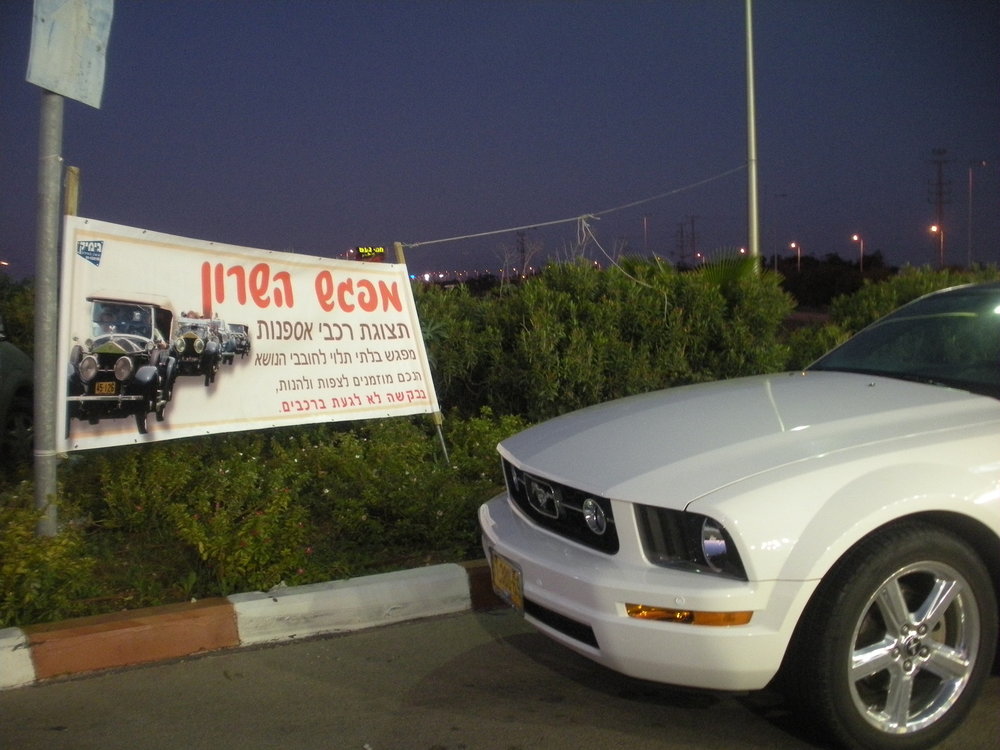DSCN5224.jpg