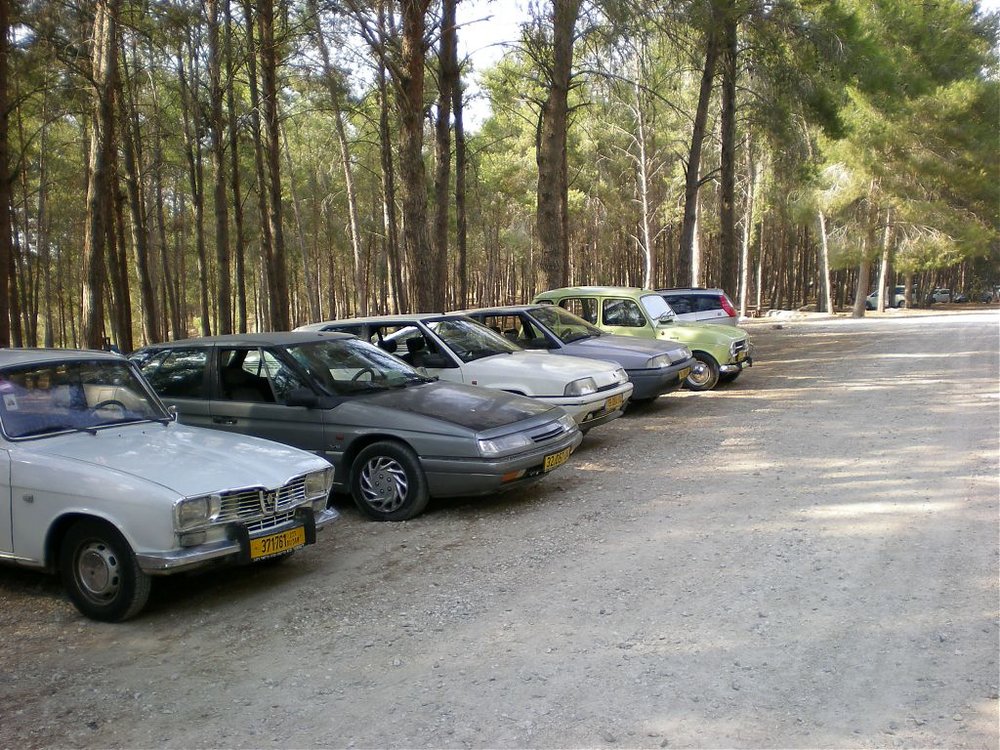 DSCN6178.jpg