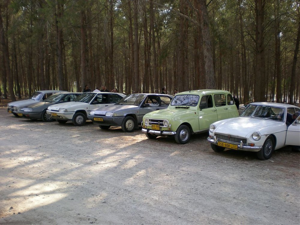 DSCN6180.jpg