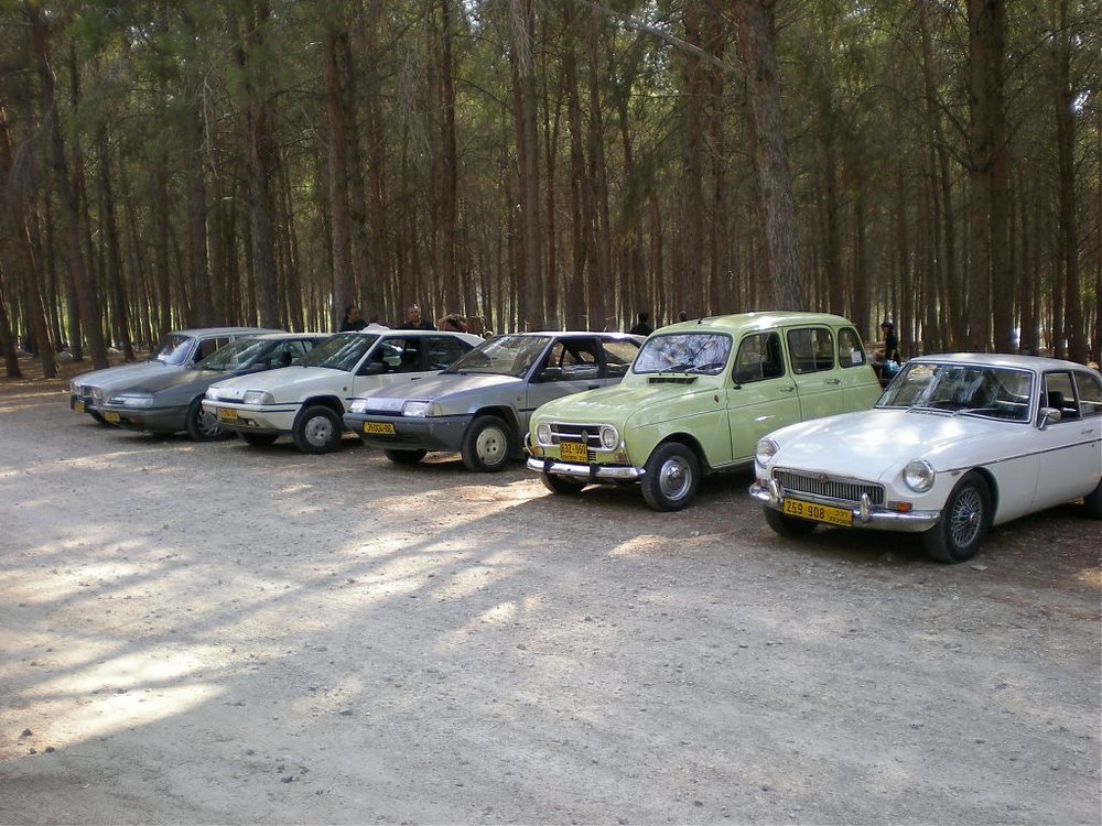 DSCN6181.jpg