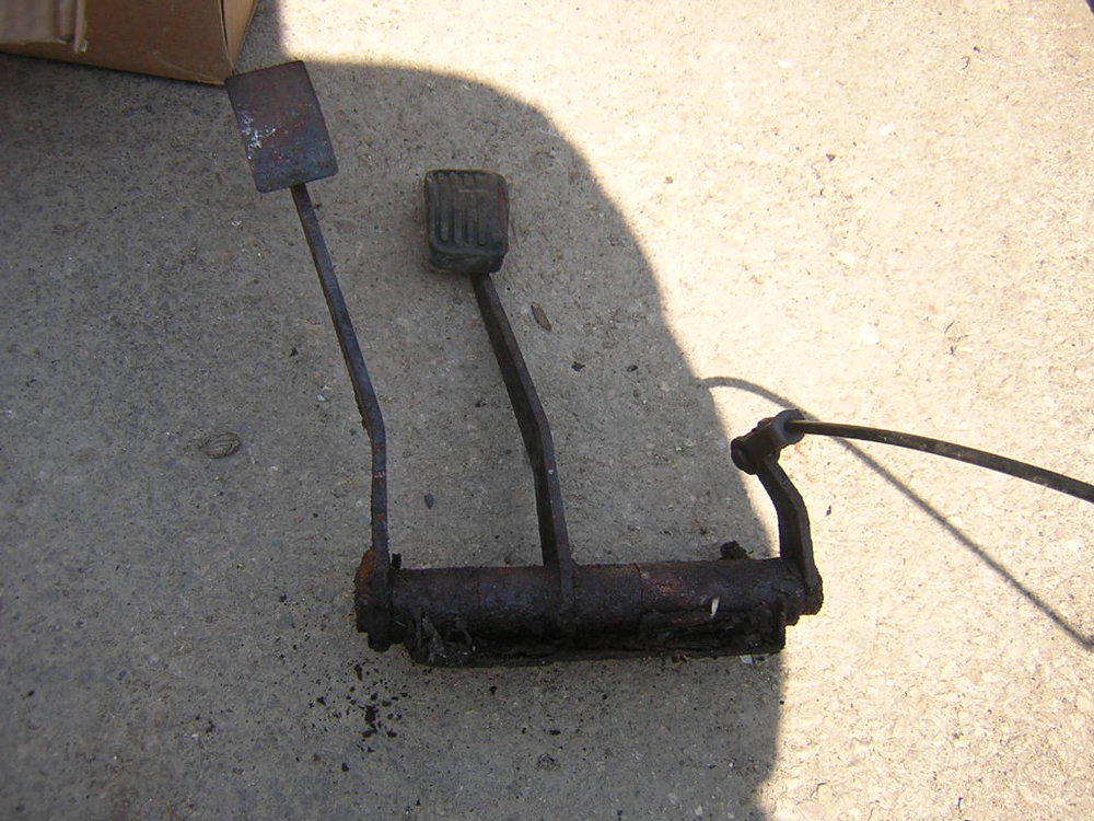 DSCN6560.JPG