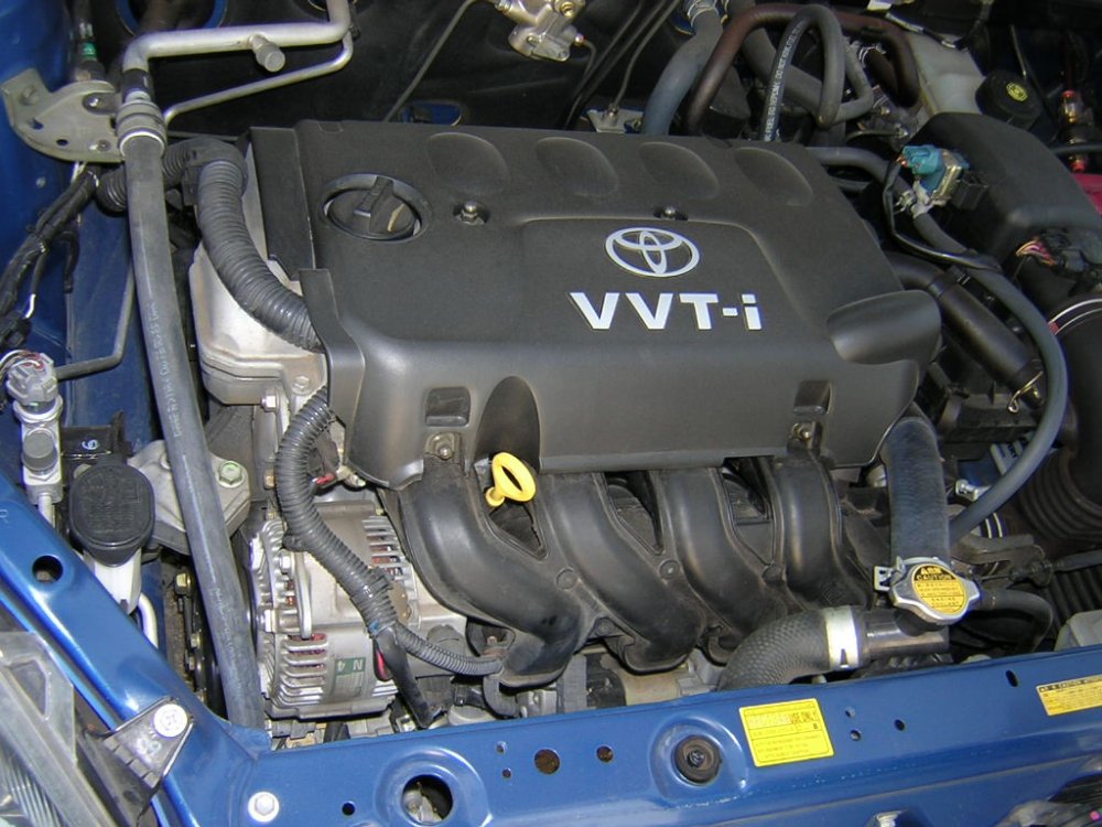 DSCN7487.JPG