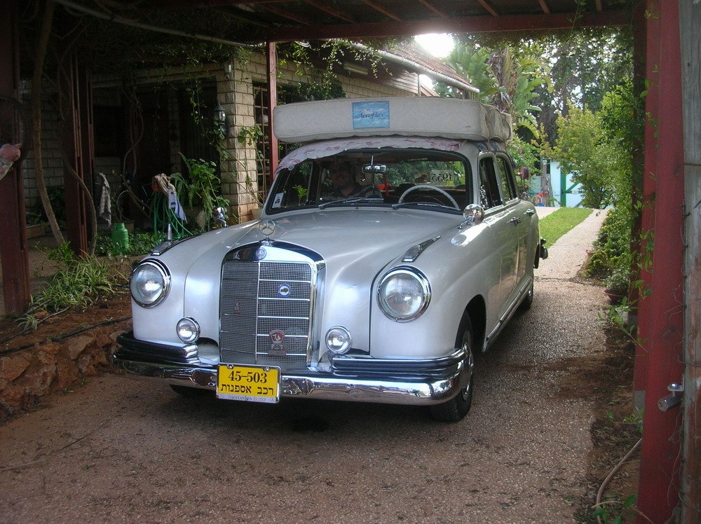 DSCN8570.jpg