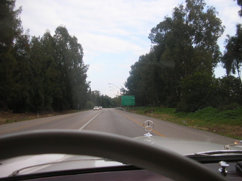 DSCN8573.jpg