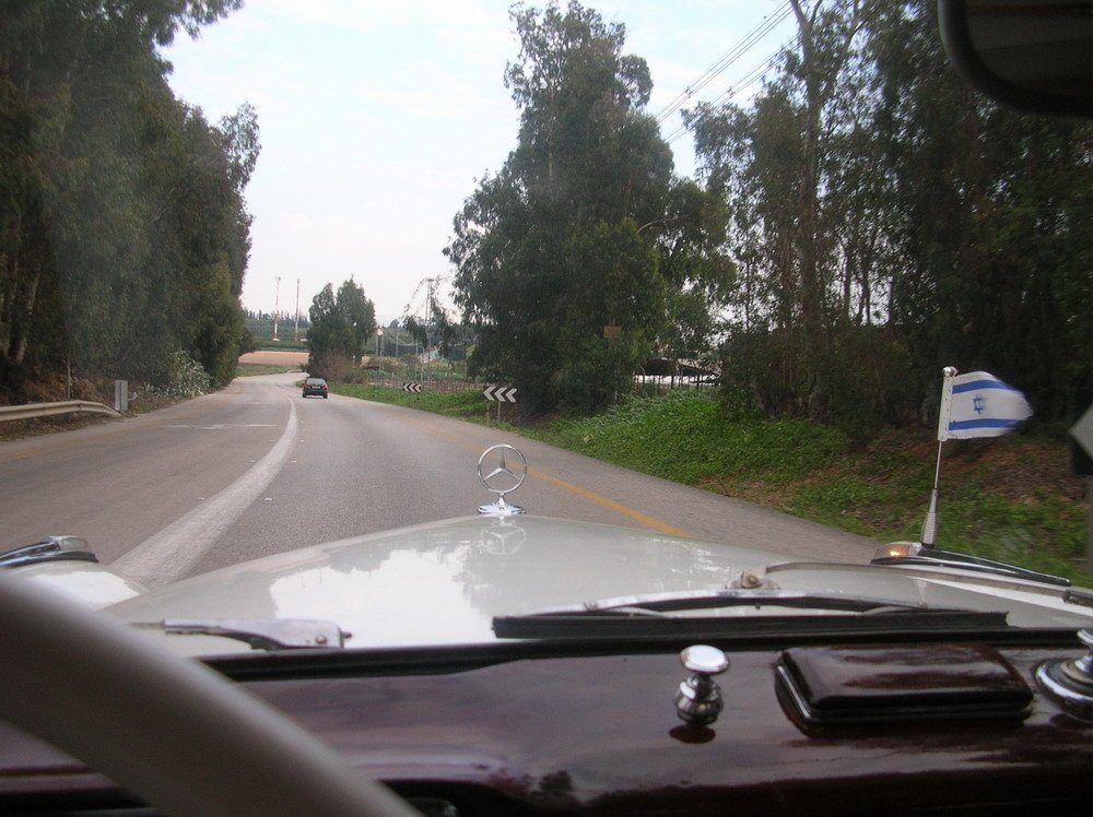 DSCN8574.jpg