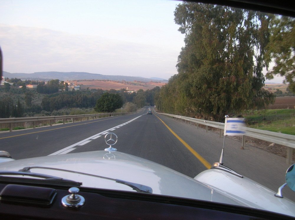 DSCN8595.jpg