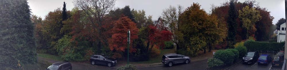 DSC_0010-PANO.jpg
