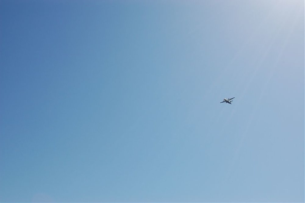 DSC_0037.jpg