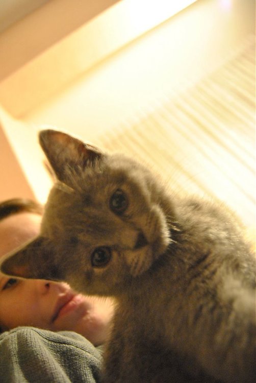 DSC_0139.jpg