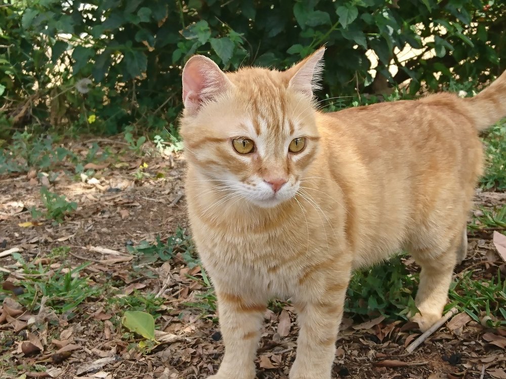 DSC_0163.jpg