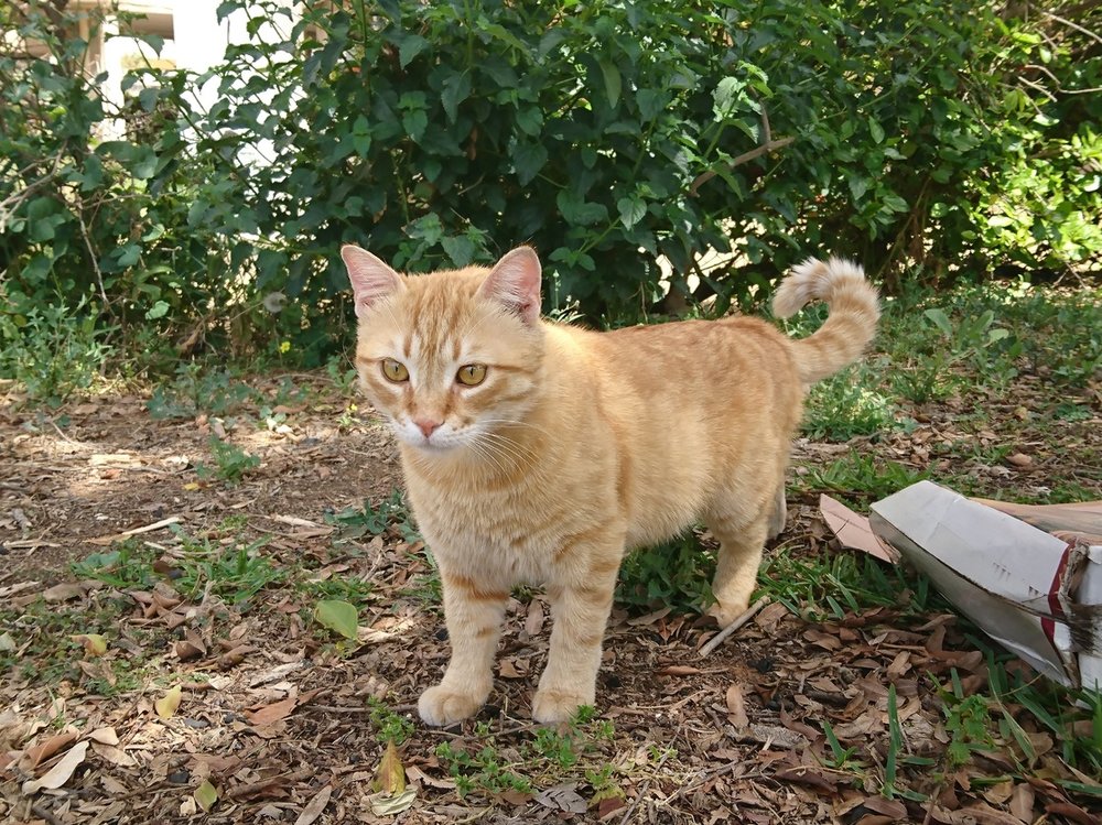 DSC_0164.jpg