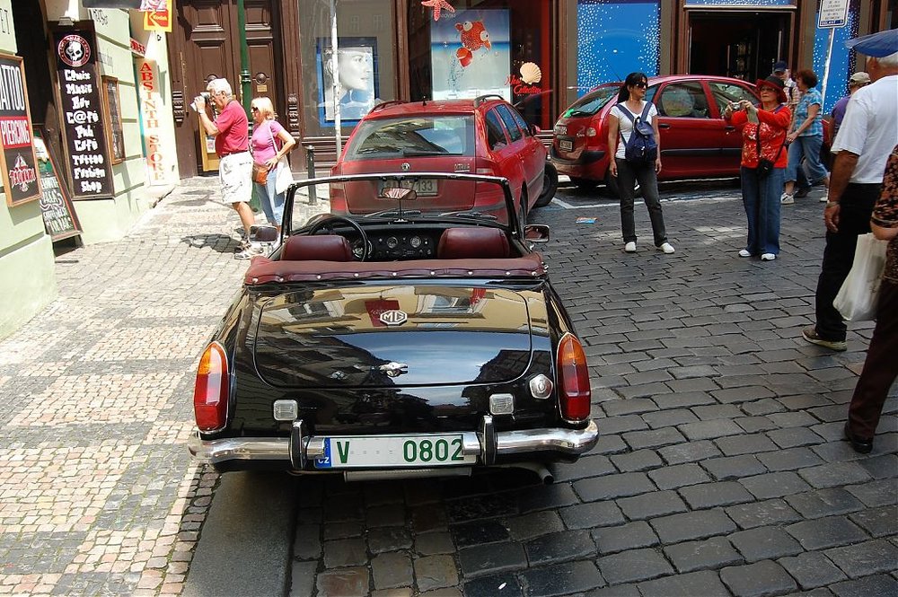 DSC_0790.jpg
