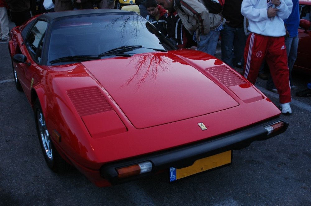 DSC_0863t.JPG
